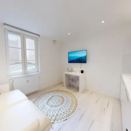 Modernes Avec Veranda Estrasburgo